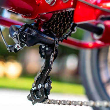 NewModernTrends E-Trikes Emojo Caddy PRO